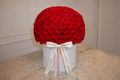•	“100 Roses Roméo