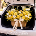 Soleil de juliette